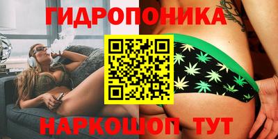 гашик Канаш