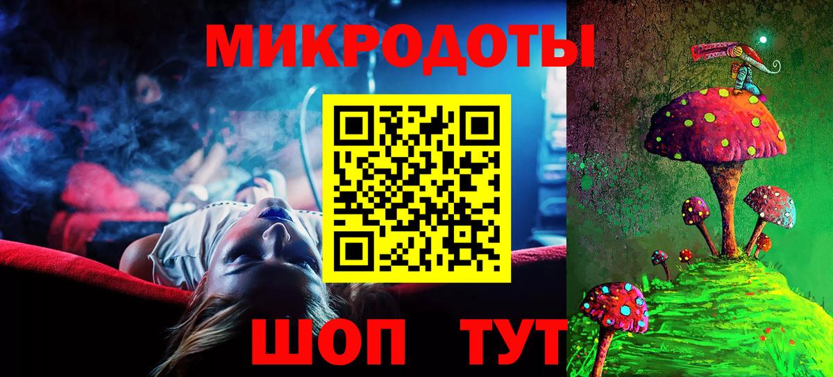 Псилоцибиновые грибы Psilocybine cubensis Всеволожск